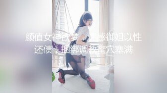 丝袜女神【优优】定制23 肉丝皮裙坐插+对镜舌吻口交 (1)