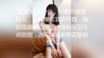 淫荡指数10分，叼着内裤被后入，道具爆菊双洞齐插，操到高潮翻白眼，中场时间卫生间自慰，20CM假屌菊花整根插入