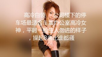 ❤️高冷白领❤️公司楼下的停车场最适合车震办公室高冷女神，平时一脸生人勿进的样子，操起B来比谁都骚