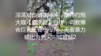 淫荡对白销魂呻吟，推特约炮大咖【夏次健】自传，调教爆肏巨乳肥臀小母狗，无套暴力输出肏到尖叫喊爸爸2