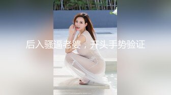 后入骚逼老婆，开头手势验证