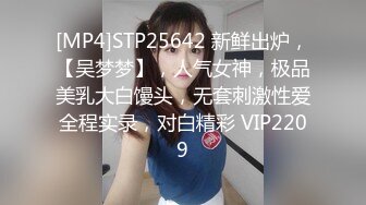 TZ078-2 我的机器人女友 下篇的!