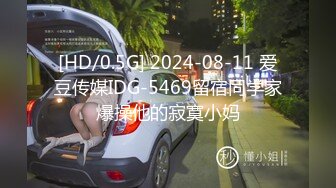 麻豆传媒 MDX0194 女业主出言不逊 男保安上门强操