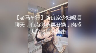 【老马车行】新良家少妇喝酒聊天，有点微醉再开操，肉感大屁股后入撞击