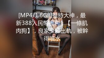 【淫妻绿奴性爱故事甄选】两只母狗的故事舞蹈家女友被榜一大哥打赏各种爆操 大神自剪辑 中文字幕