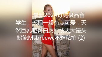 极品漂亮少妇2