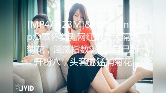 [MP4/1.5G]【反差婊子】精选20套反差婊子生活淫乱视图合集【十七】