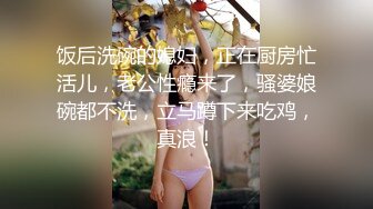 ★☆《顶级网红☀️重磅精品》★☆露脸才是王道！万狼求档OnlyFans知性极品反差御姐chipy私拍~口交肛交性爱内射紫薇各种打炮 (12)