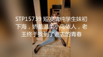 STP15739 短发清纯学生妹初下海，娇羞温柔小鸟依人，老王终于找到了逝去的青春