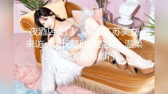 「要不要看看，我的妄想呢？」皆野愛 少女所懷抱的理想的SEX