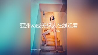 亚洲va成无码人在线观看