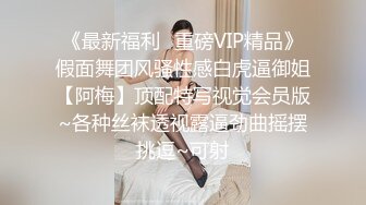 《最新福利✿重磅VIP精品》假面舞团风骚性感白虎逼御姐【阿梅】顶配特写视觉会员版~各种丝袜透视露逼劲曲摇摆挑逗~可射