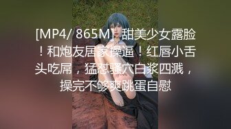 [MP4/704M]11/15最新 会计师菲菲灵活舌头舔假屌口交技术真棒首次4P大作战VIP1196