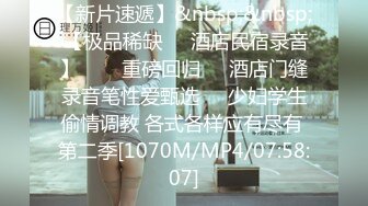 太完美了 满足幻想 AI绘画 正经的女教师们 图集[211P/301M]