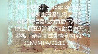 MFK-0026年轻的家政妇