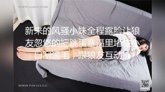 调教家奴SM耳光羞辱硬核打桩