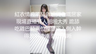 熟女和小情人玩车震