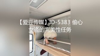 【爱豆传媒】ID-5383 偷心女盗的完美性任务