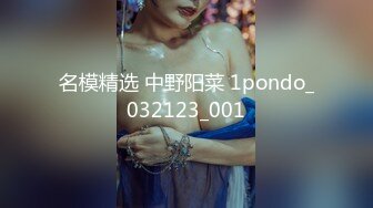 名模精选 中野阳菜 1pondo_032123_001