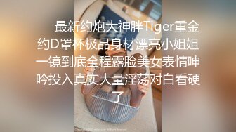 ⚡⚡最新约炮大神胖Tiger重金约D罩杯极品身材漂亮小姐姐一镜到底全程露脸美女表情呻吟投入真实大量淫荡对白看硬了