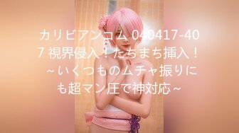 カリビアンコム 040417-407 視界侵入！たちまち挿入！ ～いくつものムチャ振りにも超マン圧で神対応～