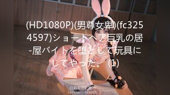 (HD1080P)(男尊女卑)(fc3254597)ショートヘア巨乳の居-屋バイトを堕として玩具にしてやった。 (1)