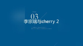 李宗瑞与cherry 2