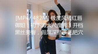 [MP4/ 328M] 女神级乖巧高端外围美女被纹身大汉各种玩弄，手伸进衣服摸奶子