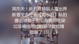 屌炸天！新流推特狠人露出界新晋变态狂人【南小姐】私拍 露出喂蚊子男公厕紫薇吃屎垃圾桶捡用过的避孕套吃精 我服了 (3)