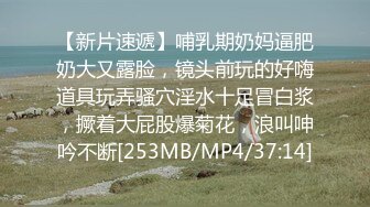 [MP4/2.8GB]麻豆傳媒MDX0160-0164寡婦的心願+荷官到府排毒體驗+排解繼母的性需求