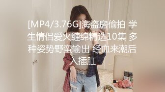 【精东影业】JD108 车模女优精东寻找富二代-真希波