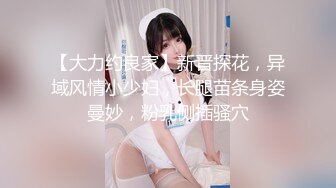 【大力约良家】新晋探花，异域风情小少妇，长腿苗条身姿曼妙，粉乳侧插骚穴